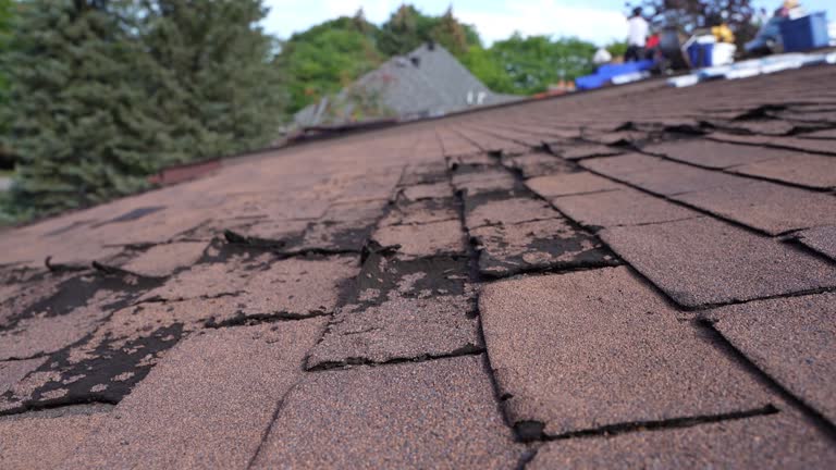 Best Storm Damage Roof Repair  in Spring House, PA